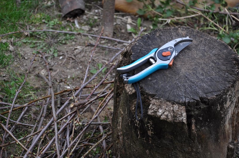 Wizardly Pruners